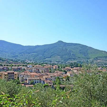 Oleandro * Calci